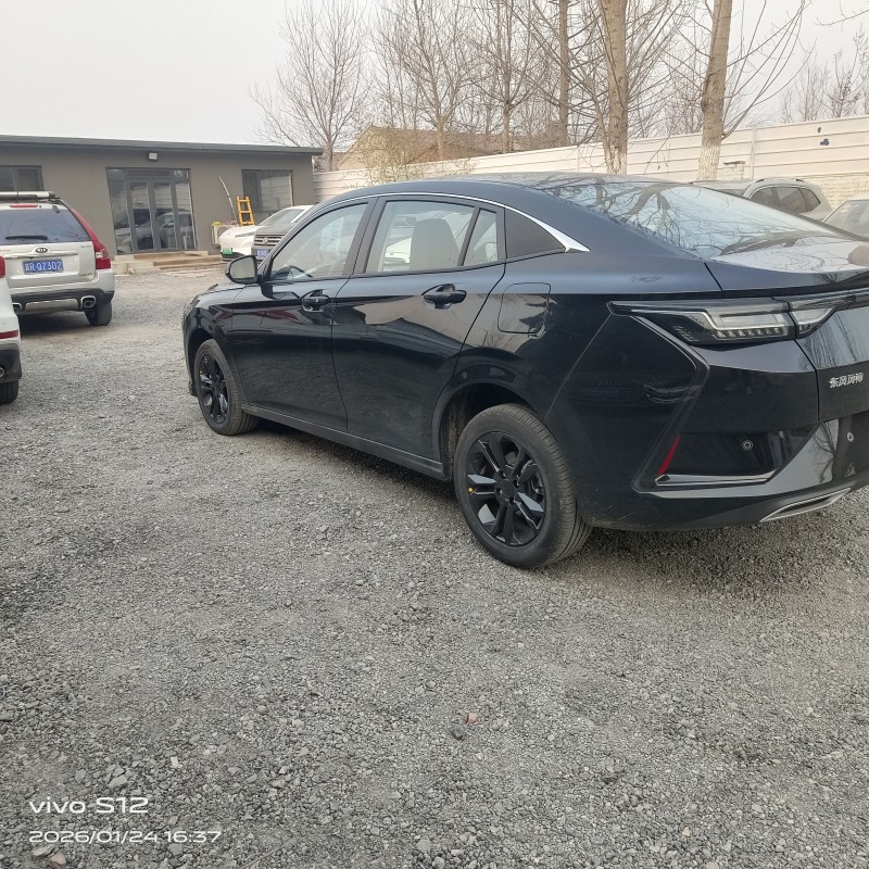 廊坊25年东风风神4