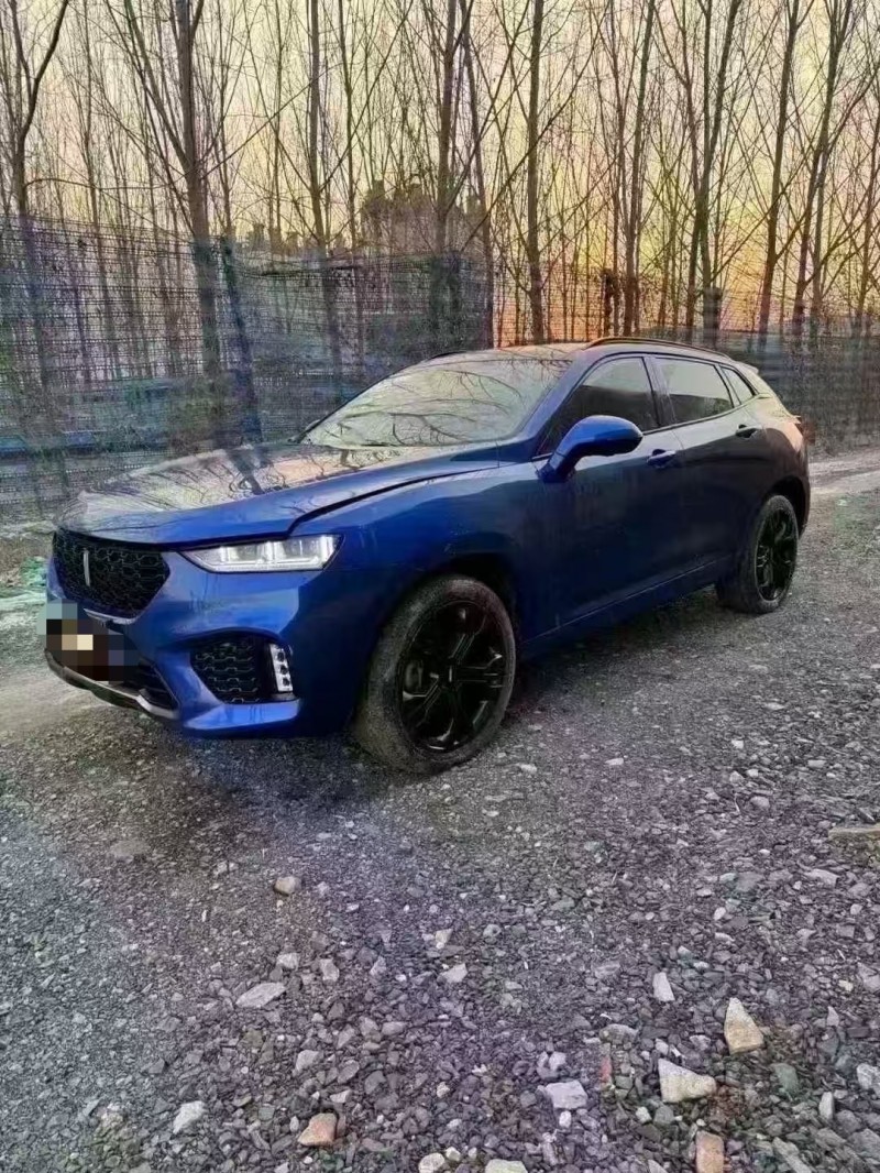 菏泽18年长城汽车WEY2