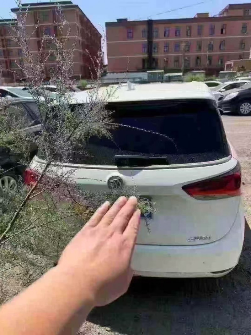 菏泽19年别克GL86