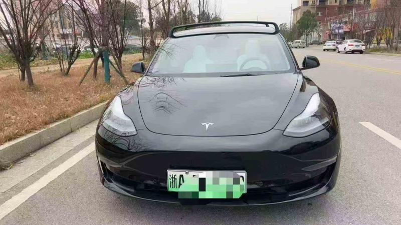 衡阳23年特斯拉MODEL 31