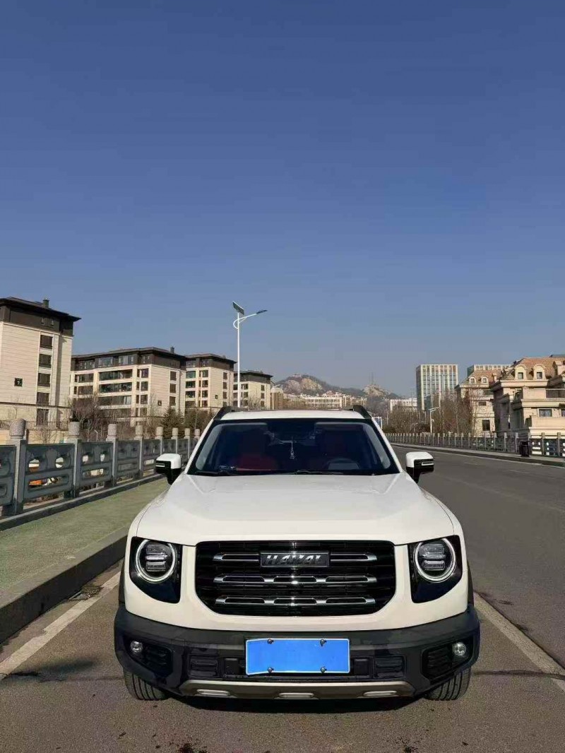 东营23年哈弗大狗1