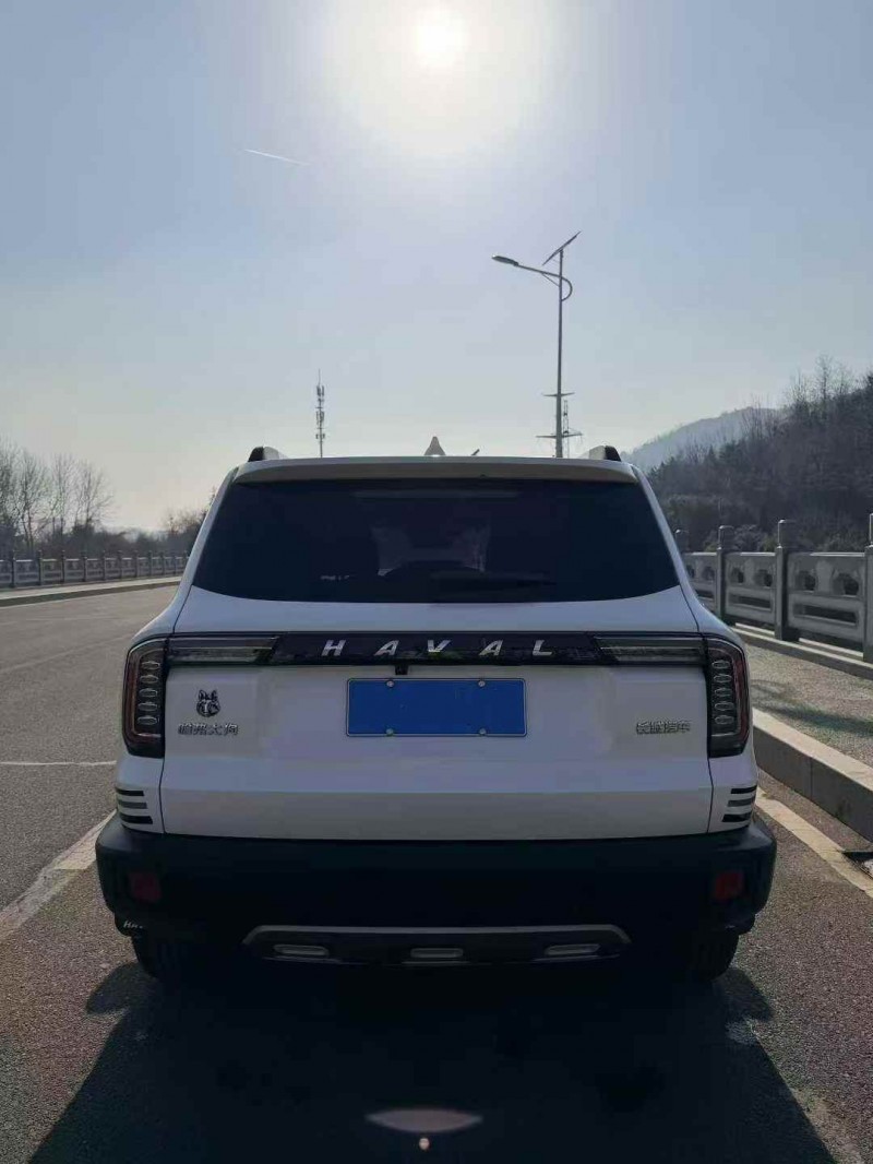 东营23年哈弗大狗9