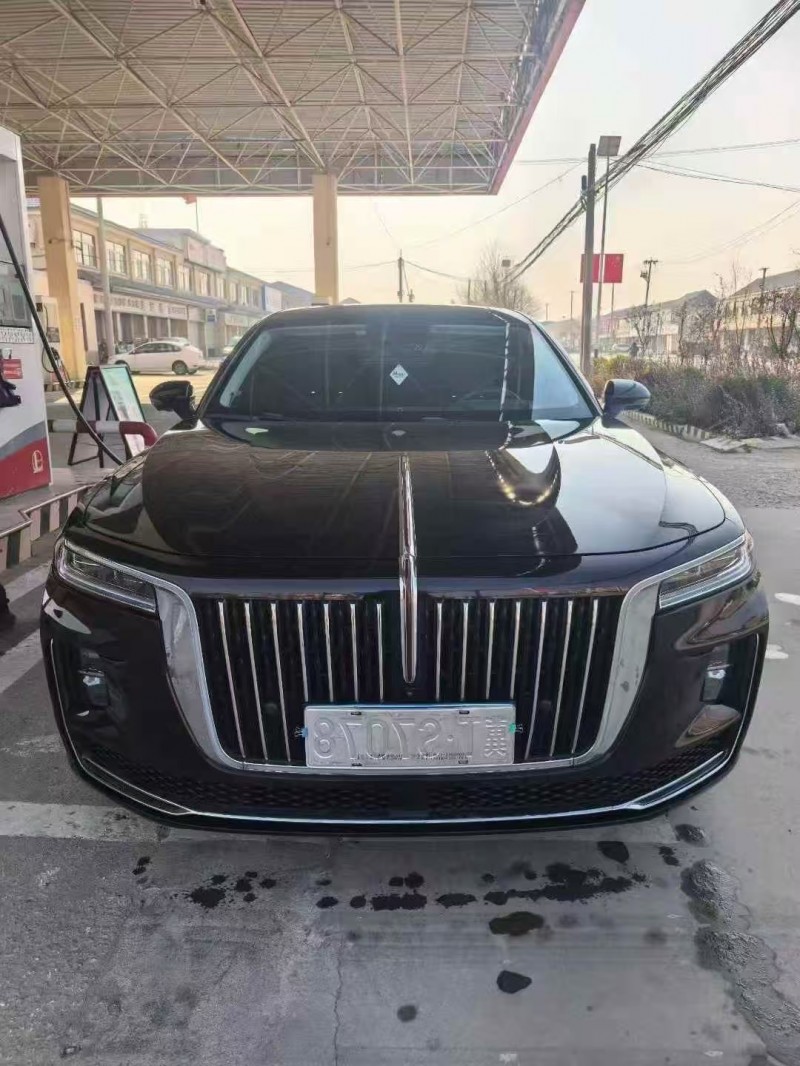 济宁22年红旗H91