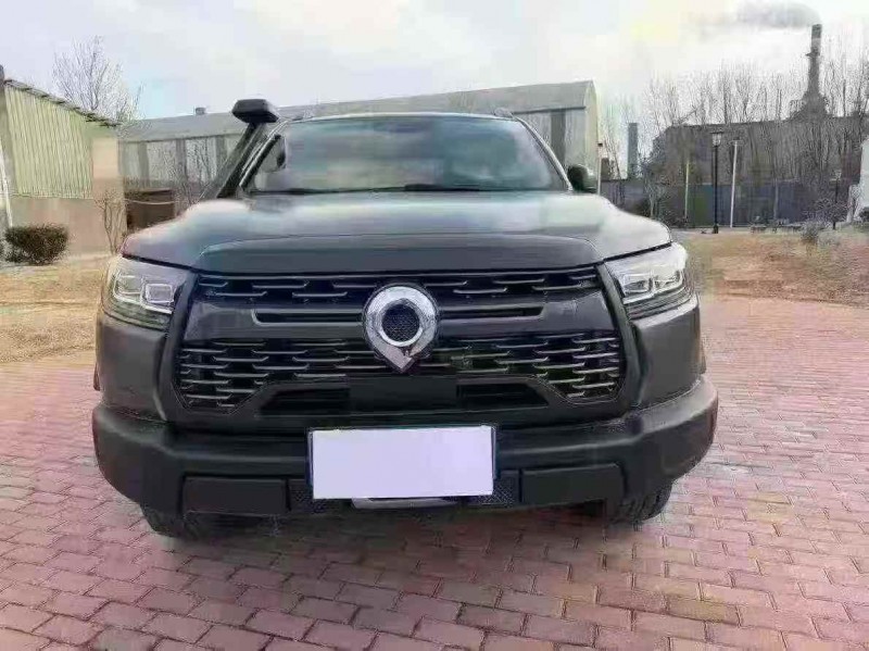 鹤壁24年长城汽车炮 皮卡1