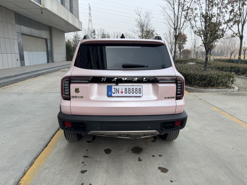 济宁23年哈弗大狗9