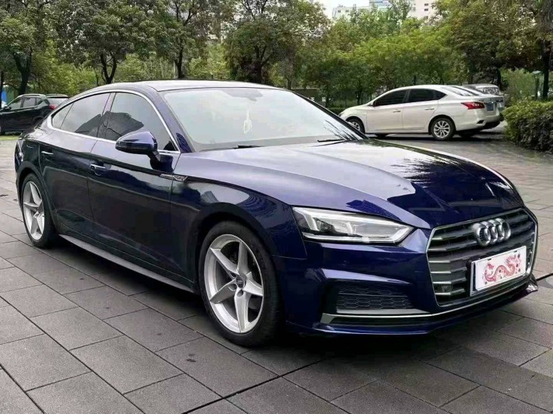 广州20年奥迪A52