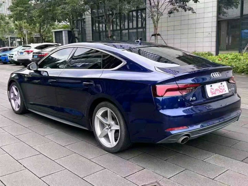 广州20年奥迪A59