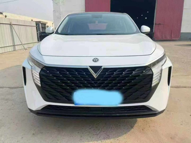 保定23年启辰大V1