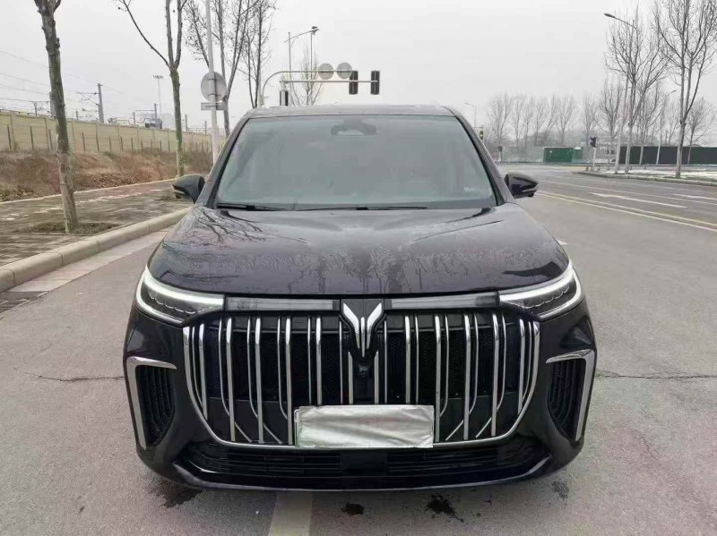 郑州23年岚图汽车梦想家1