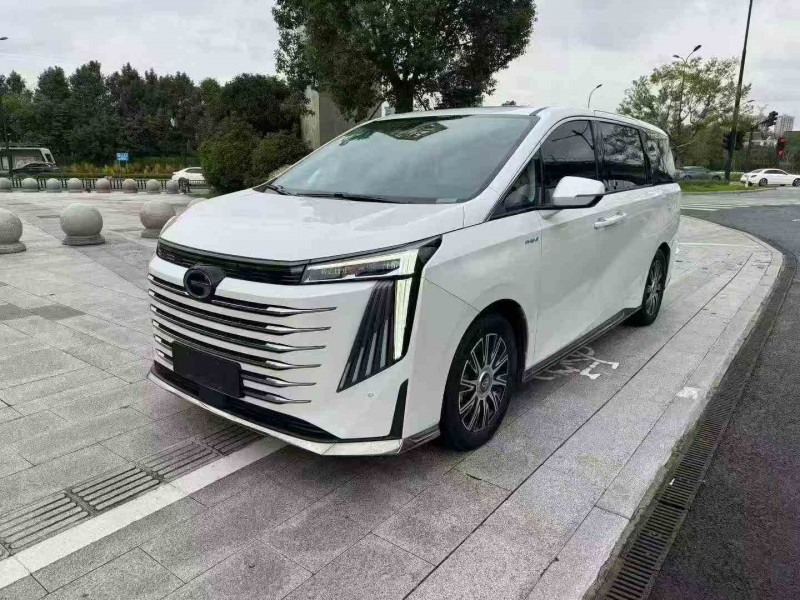 嘉兴23年传祺E9MAX2