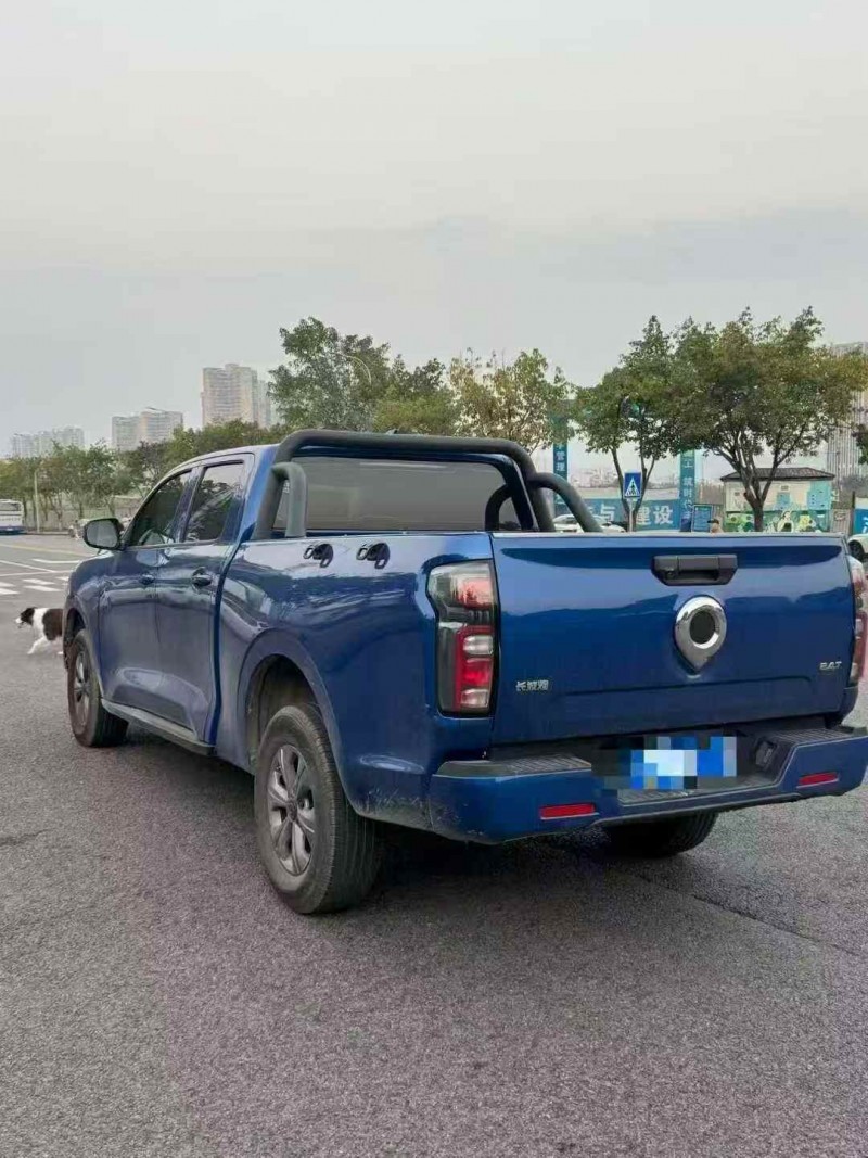 重庆24年长城汽车炮 皮卡7