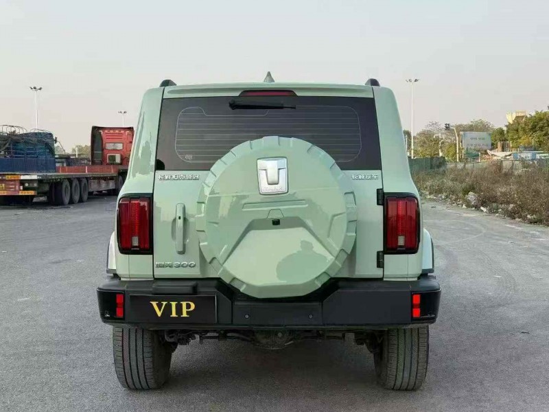 柳州23年长城汽车坦克9