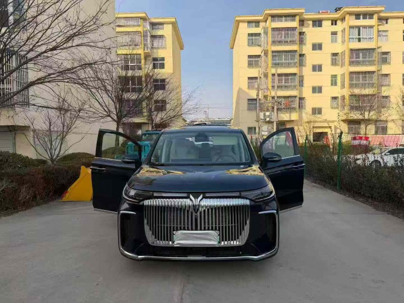 徐州26年岚图汽车梦想家7