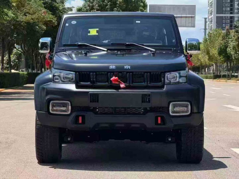 昭通25年北京BJ401