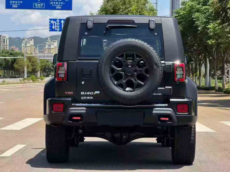 昭通25年北京BJ409