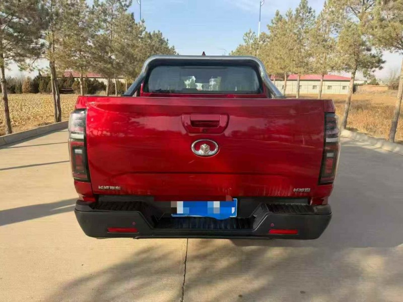 汉中20年长城汽车炮 皮卡9