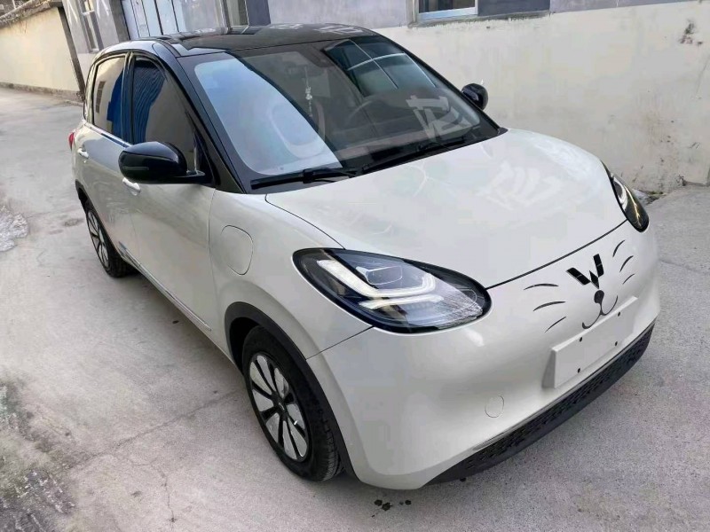 潍坊24年五菱汽车缤果2