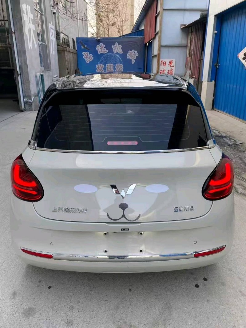 潍坊24年五菱汽车缤果9