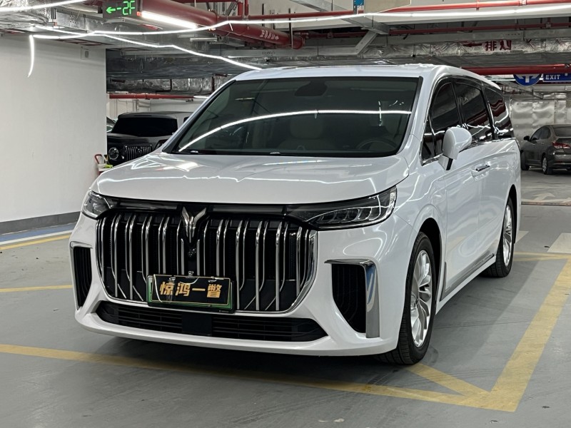 佛山23年岚图汽车梦想家3