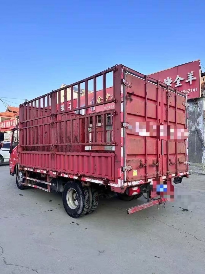 菏泽20年跃进轻卡6