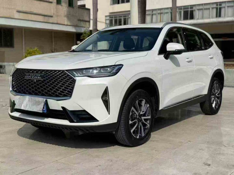 湛江25年哈弗H63