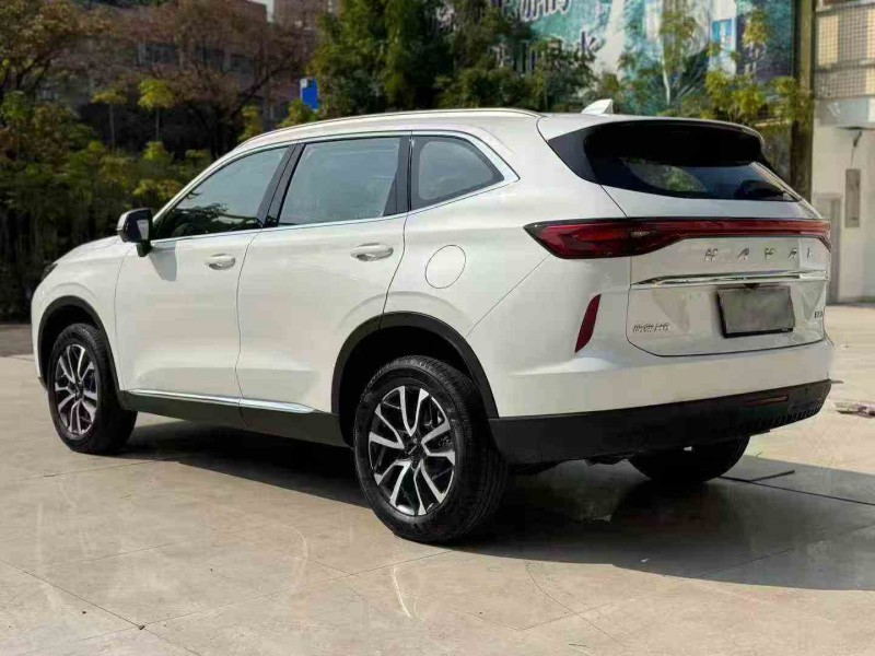 湛江25年哈弗H66