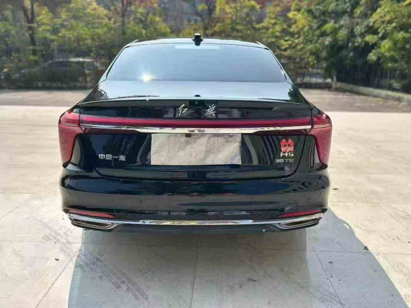湛江25年红旗H58