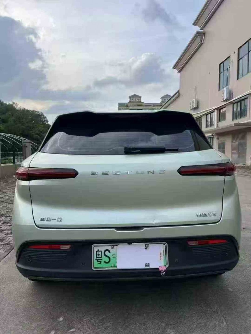 湛江25年奔腾悦意8