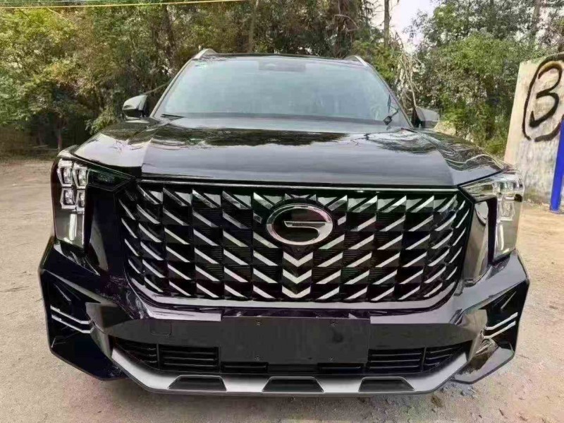 湛江25年传祺GS81