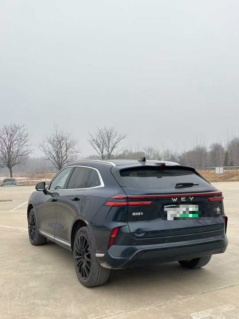 菏泽24年长城汽车魏牌8