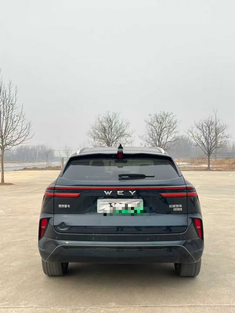 菏泽24年长城汽车魏牌9