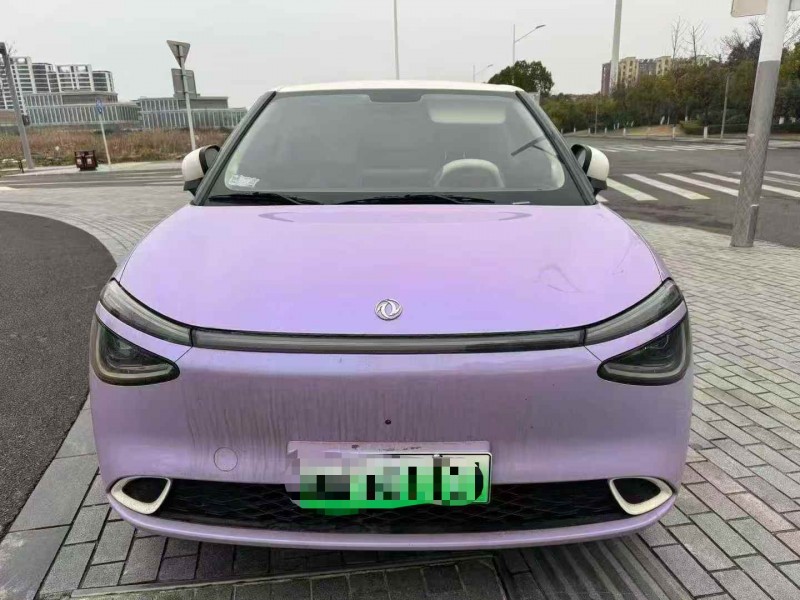 温州24年东风纳米1