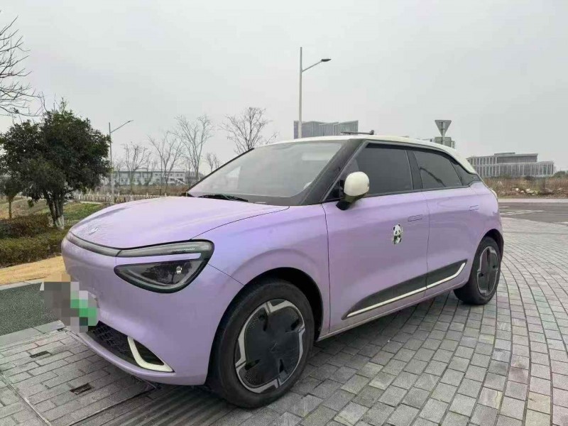 温州24年东风纳米2