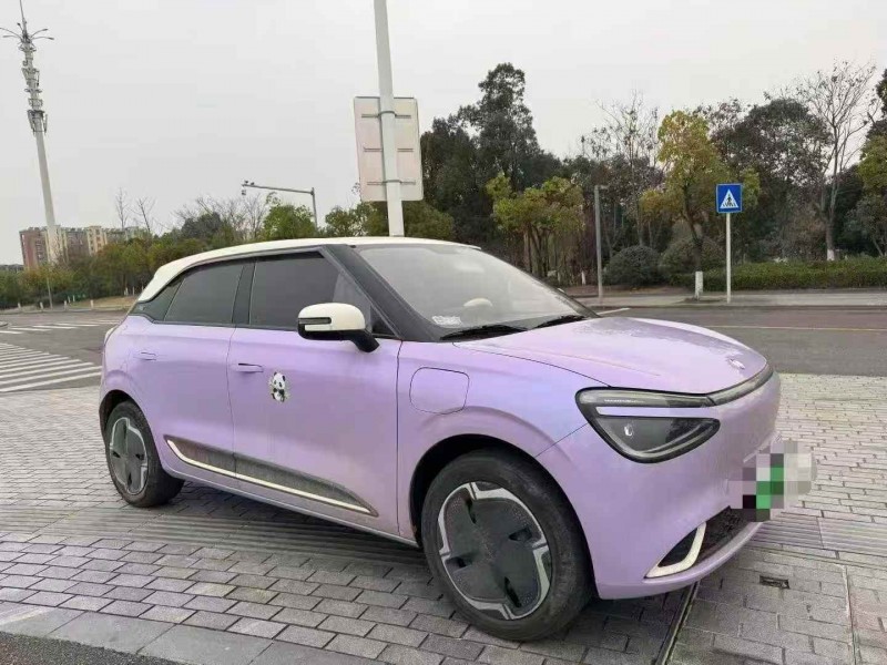 温州24年东风纳米3