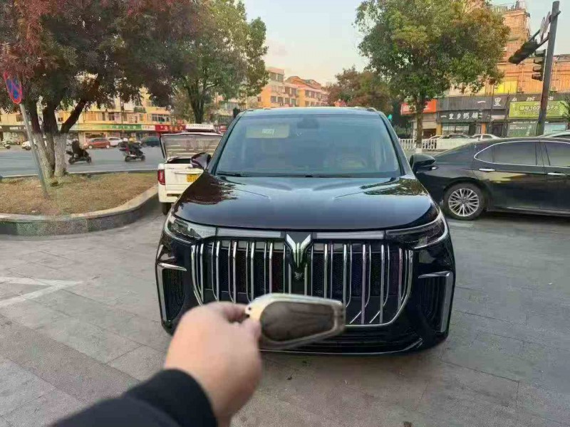 衢州23年岚图汽车梦想家3