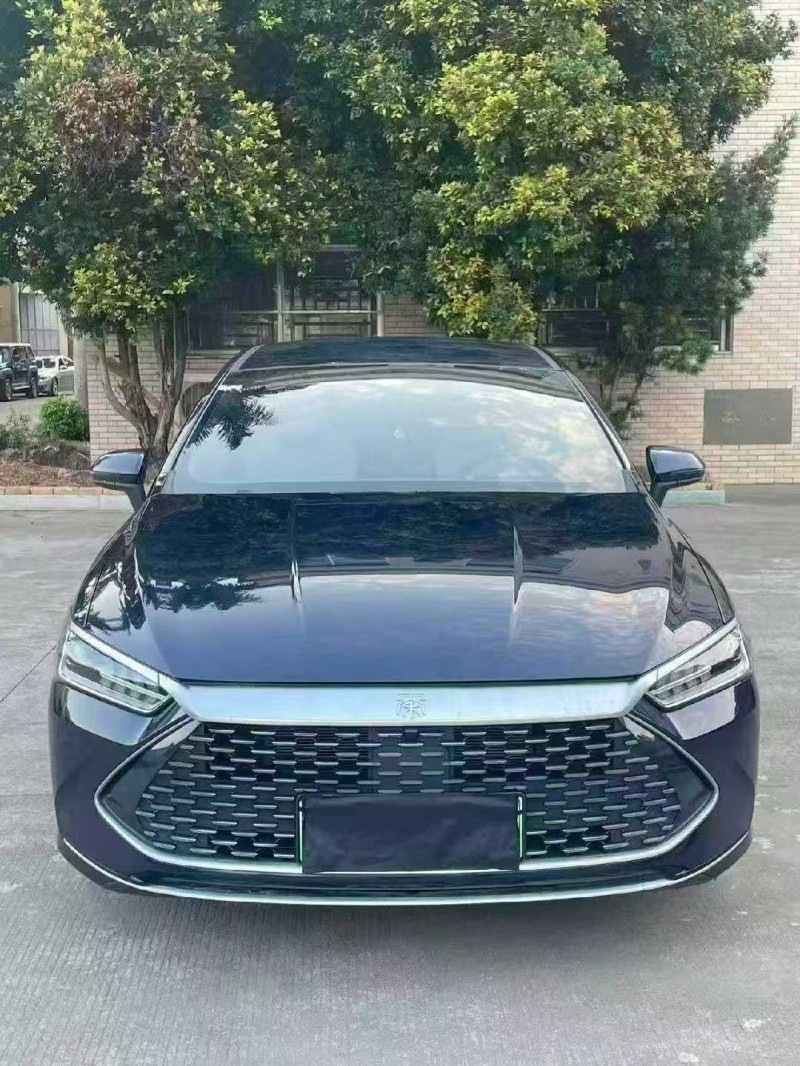 漳州24年比亚迪秦1