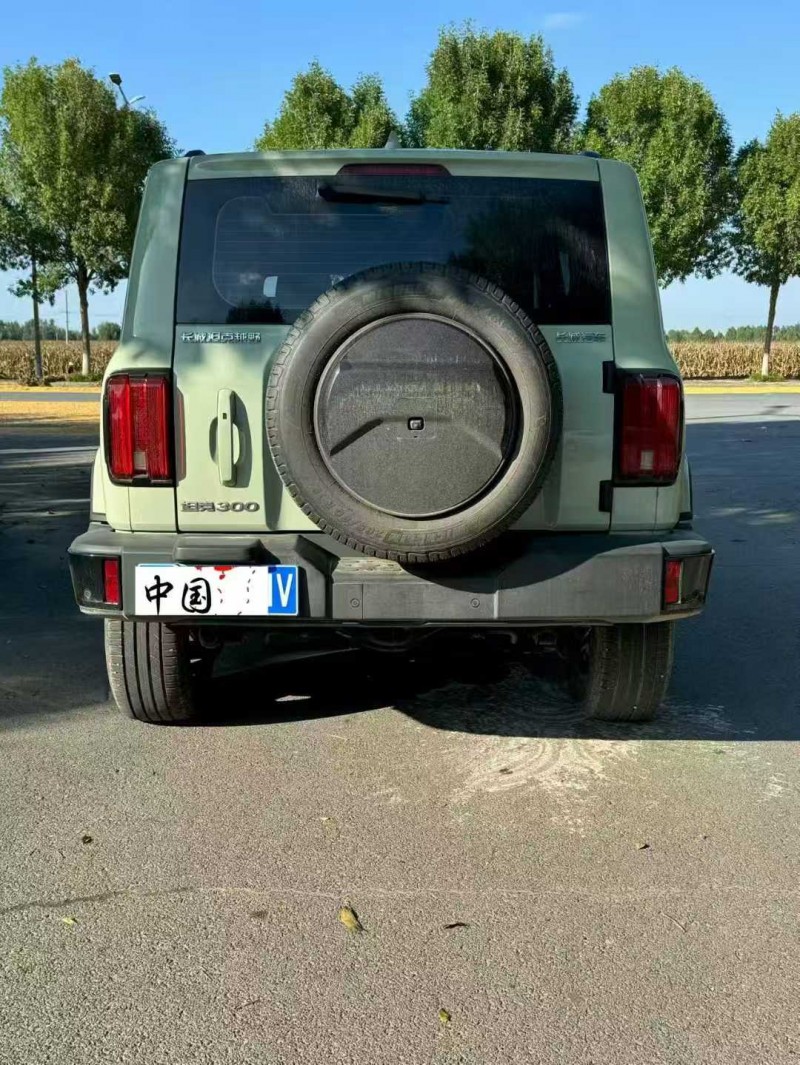 安阳24年长城汽车坦克6