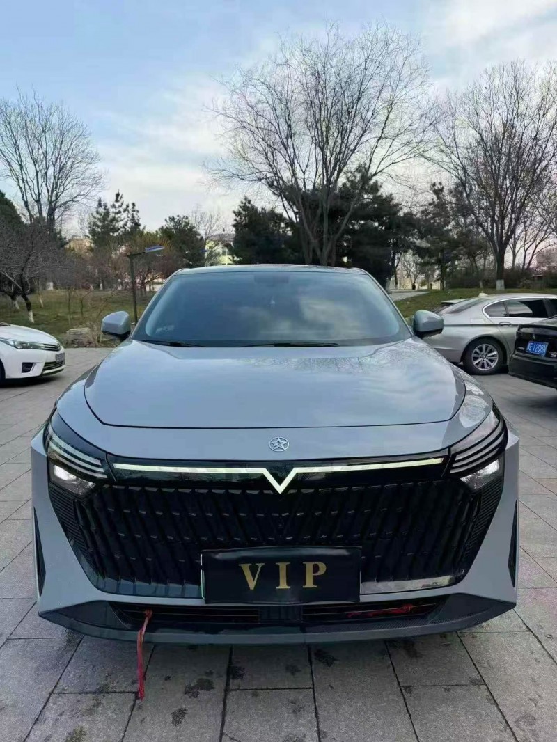 邢台24年启辰大V1