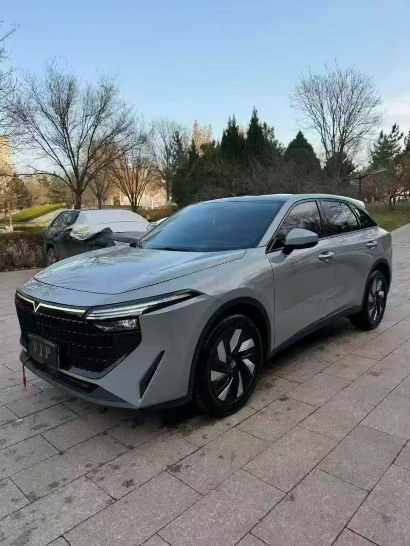 邢台24年启辰大V2