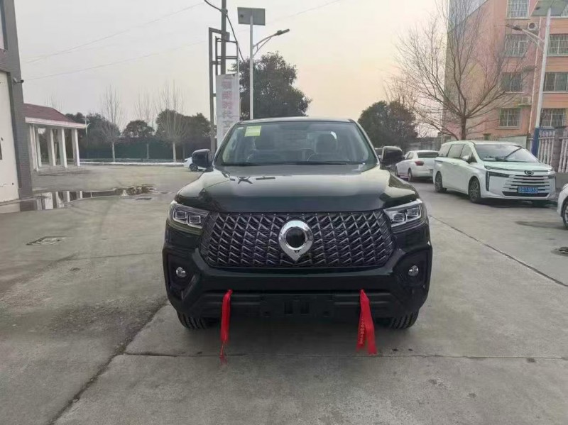 济宁26年长城汽车炮 皮卡1