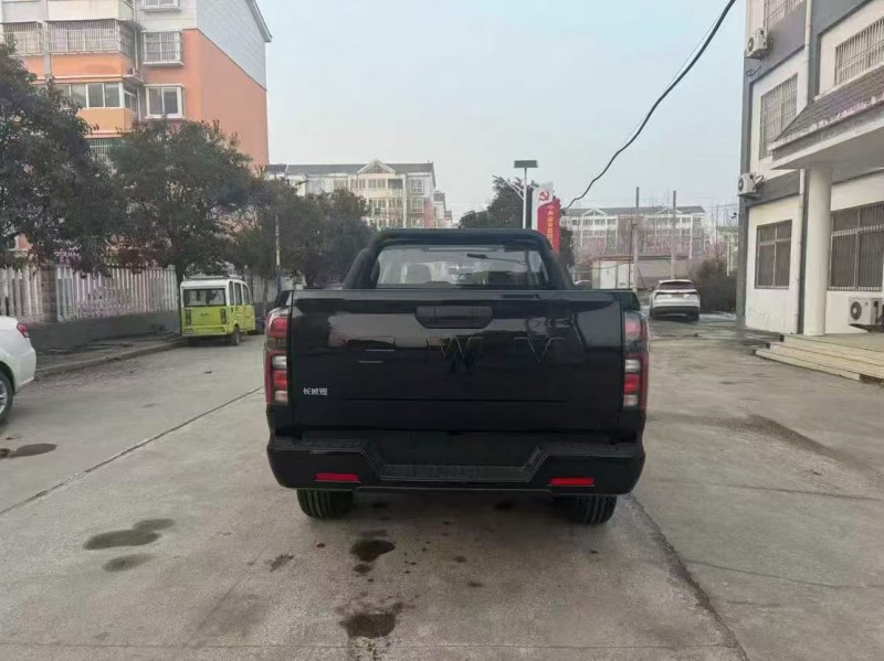 济宁26年长城汽车炮 皮卡9