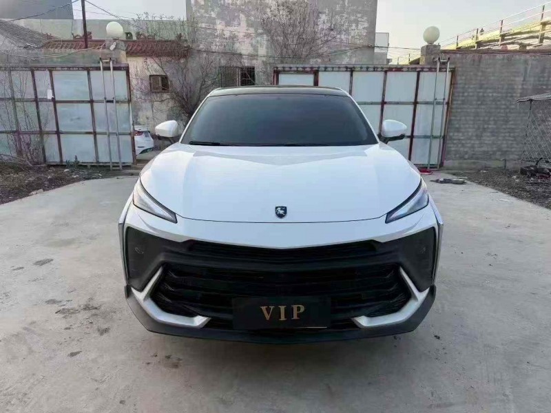 潍坊24年东风风行1