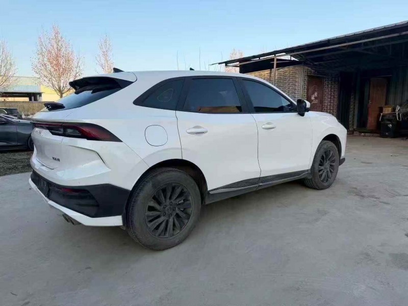 潍坊24年东风风行7