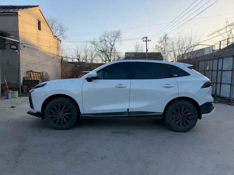 潍坊24年东风风行8