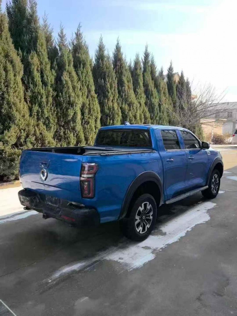 枣庄20年长城汽车炮 皮卡4