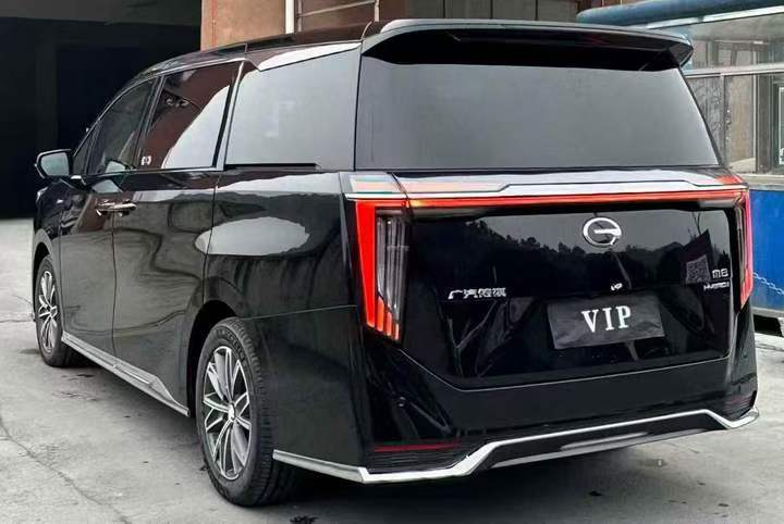 毕节25年传祺M8/GM88