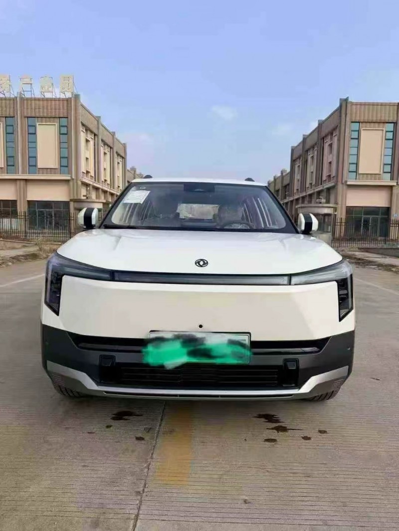 济南24年东风纳米1