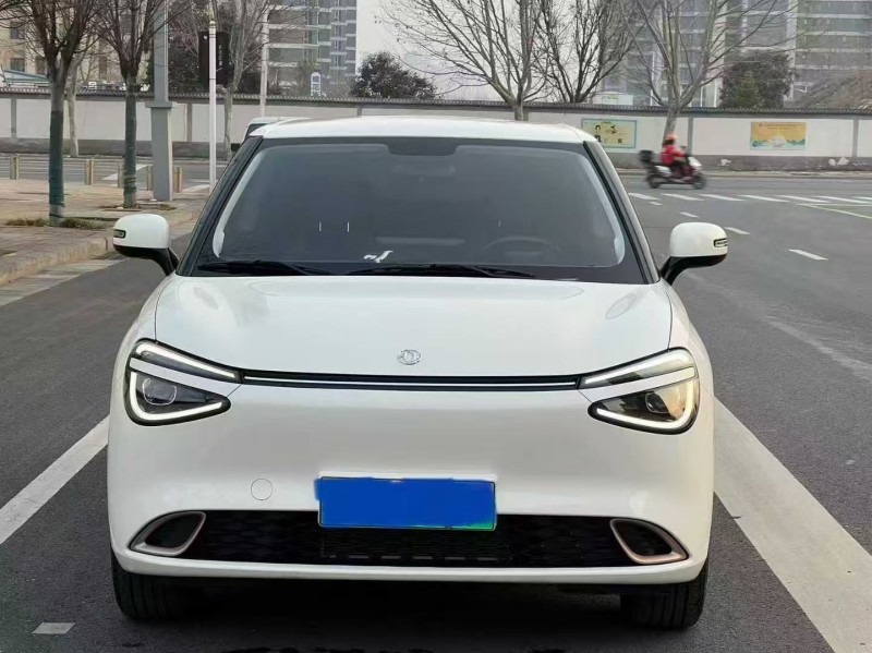 郑州25年东风纳米1