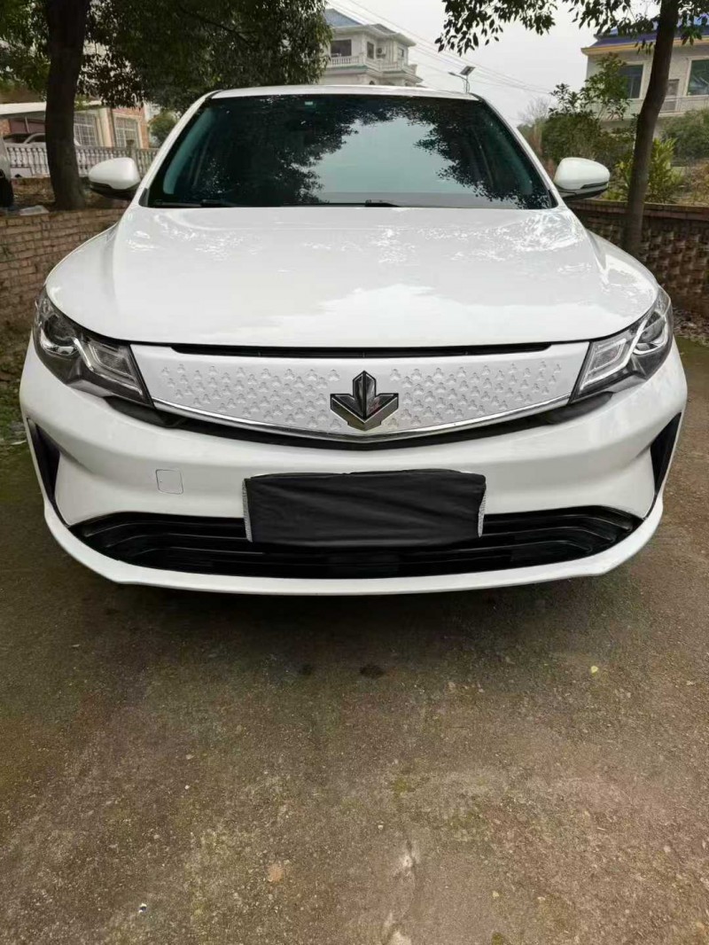 萍乡23年吉利枫叶1