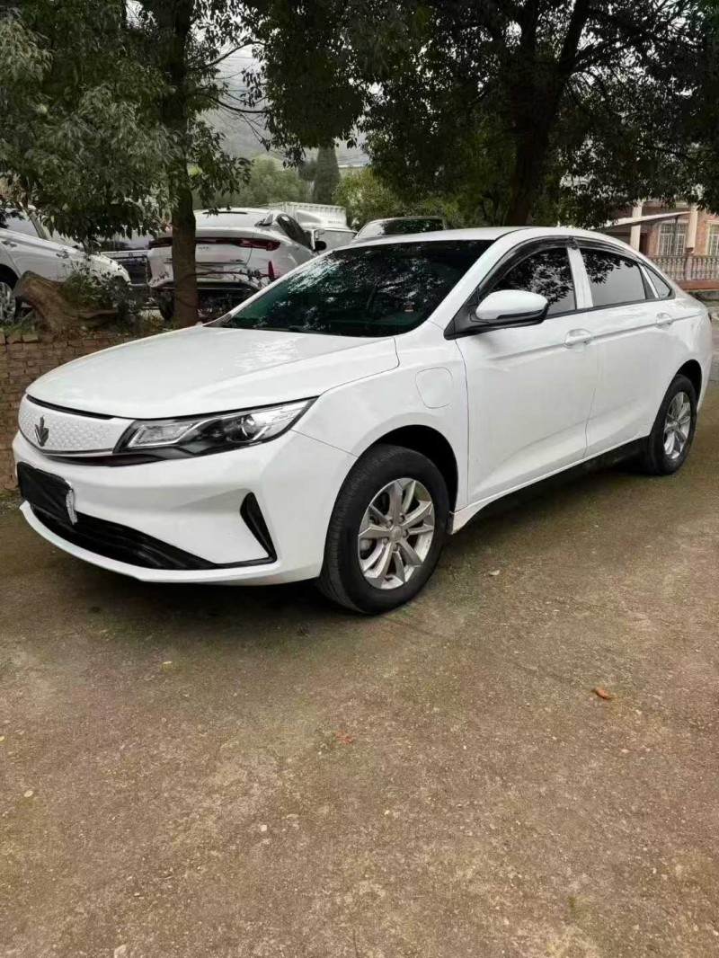 萍乡23年吉利枫叶2